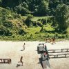 Survivor Romania sezonul 7 episodul 34 din 27 Martie 2026