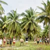 Survivor Romania sezonul 7 episodul 25 din 6 Martie 2026