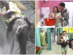 Mireasa sezonul 13 episodul 129 din 9 iulie 2026